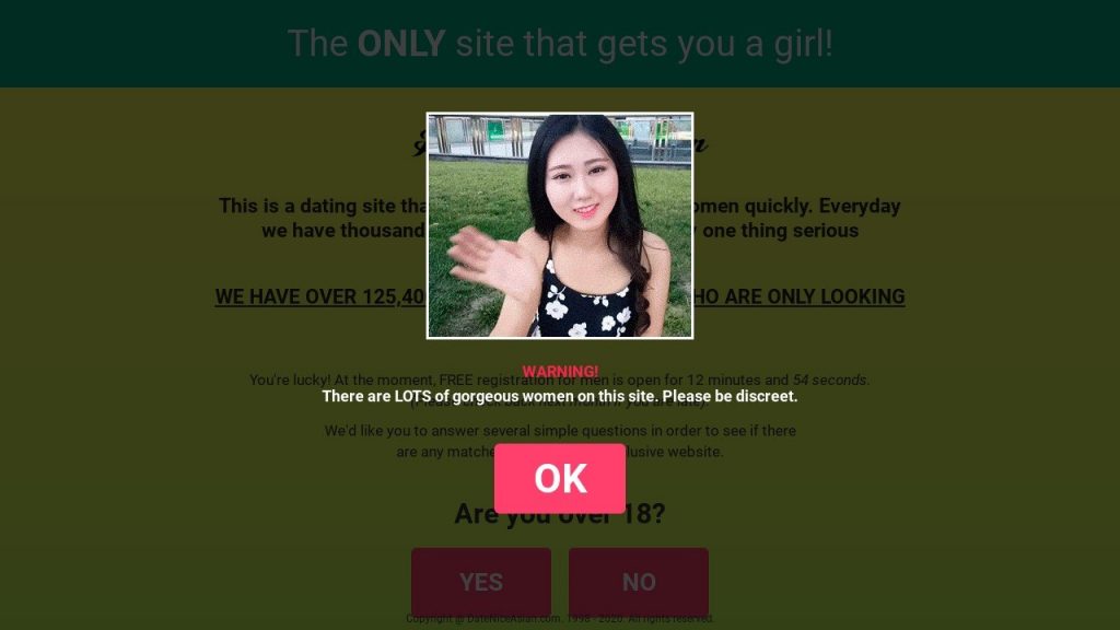 Date Nice Asian | Site Review for 2024