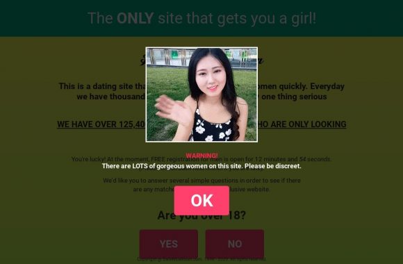 Date Nice Asian | Site Review for 2025